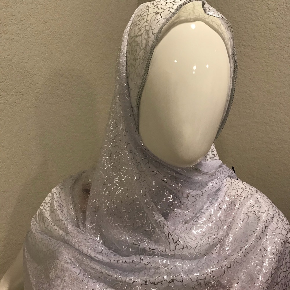 Sheer Silver Scarf